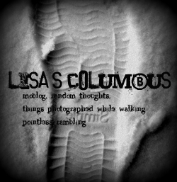 lisascbus.jpg